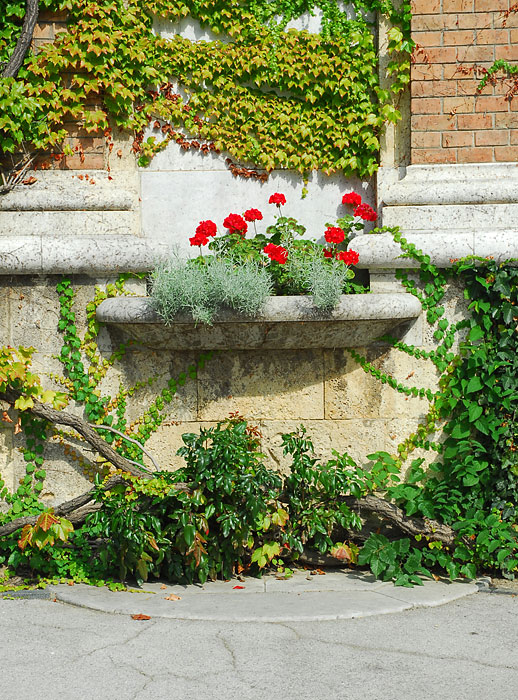 Flowers Mirogoj