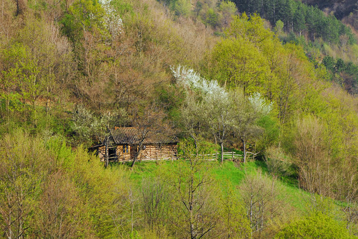 Planinska brvnara na besnoj Planini