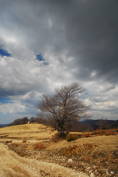 Neperdvidivo nebo na planini