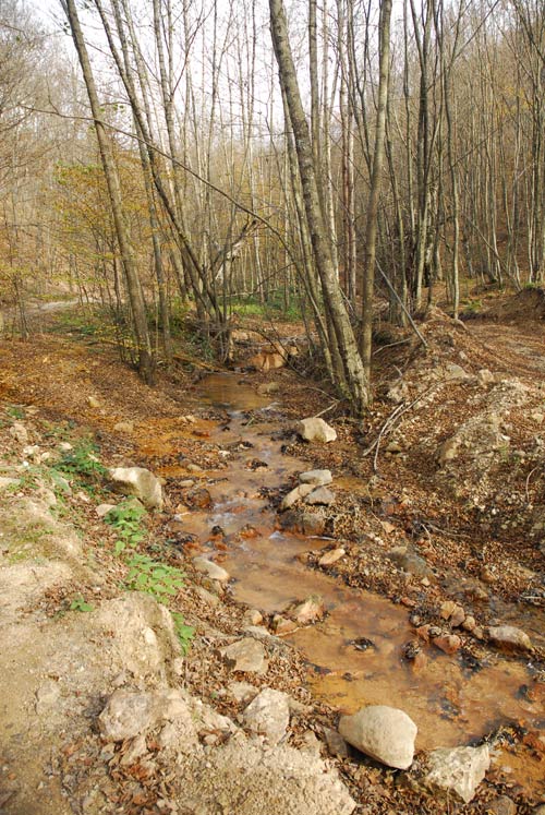 Crveni potok u Djavoljoj Varoši