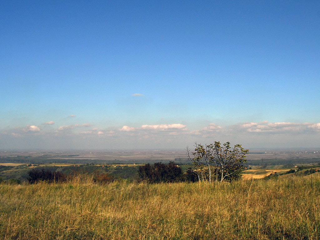 Zbunje na Fruskoj Gori