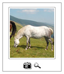 Fotografije prirode