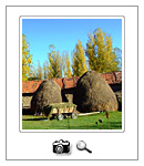 Stara planina leto 2009