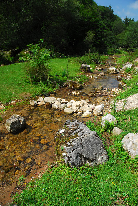 Planinski potok, Despotovac