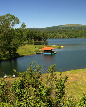 Vlasina Lake