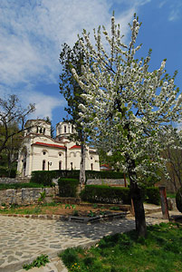Trešnja ispred crkve svetog Ilije