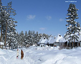 Na Zlatiborskom snegu