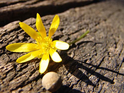 Odabrane slike i slike za Odabrane slike i slike za