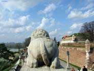 kalemegdan-lav-m.jpg