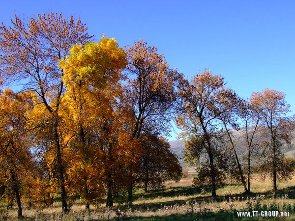 01_jesen_planina.jpg