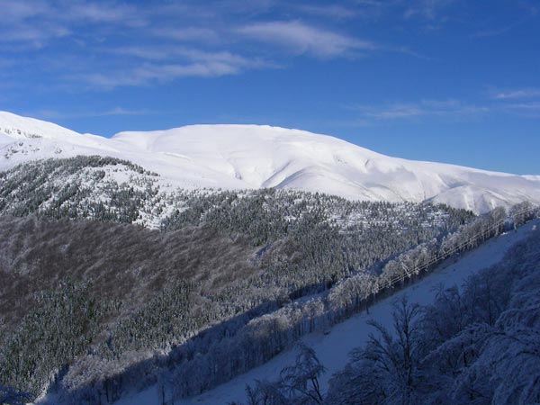 05_stara_planina_skijanje.jpg