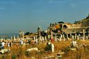 Zidine drevnog Efesa