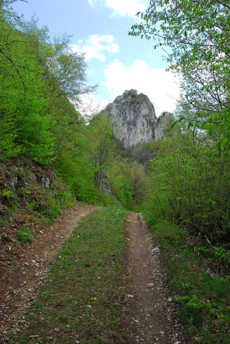 Gavranov kamik, brdo u selu Dragovita