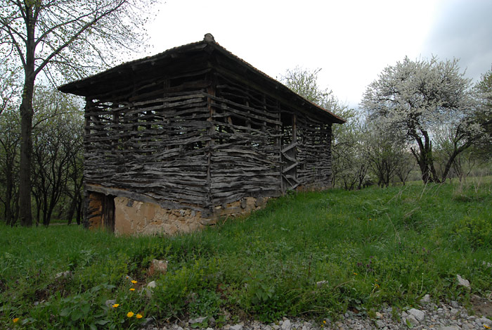 Pored puta, sasvim običan kadar iz sela.