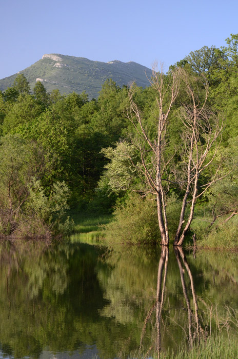 Refleksija jezera Vrmdže