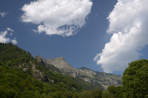 Pejzaži sa planine Rile