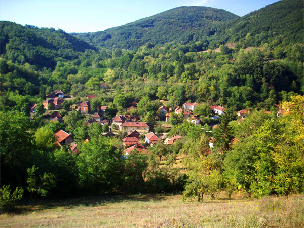 Donji Prisjan, Zaplanjsko selo