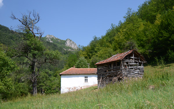 Koncept seoskog domaćinstva planinskog tipa u Jugoistočnoj Srbiji