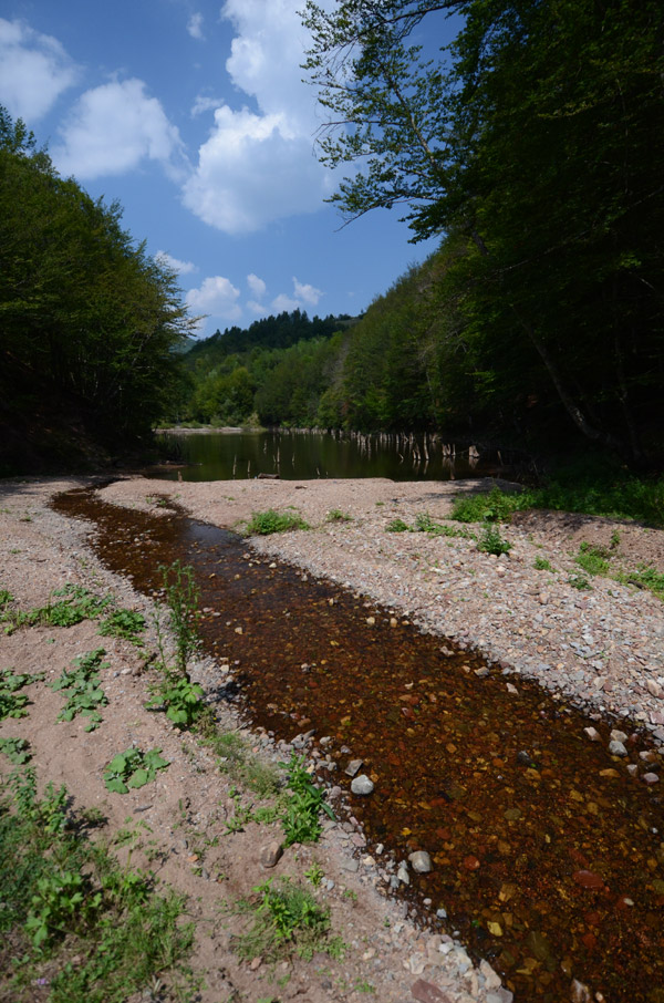 Vetreno jezero, na ušću