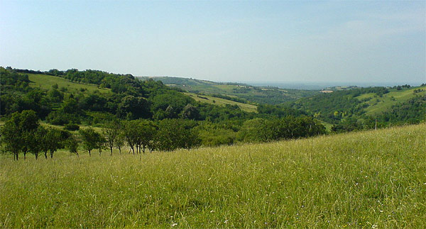 Fruška gora