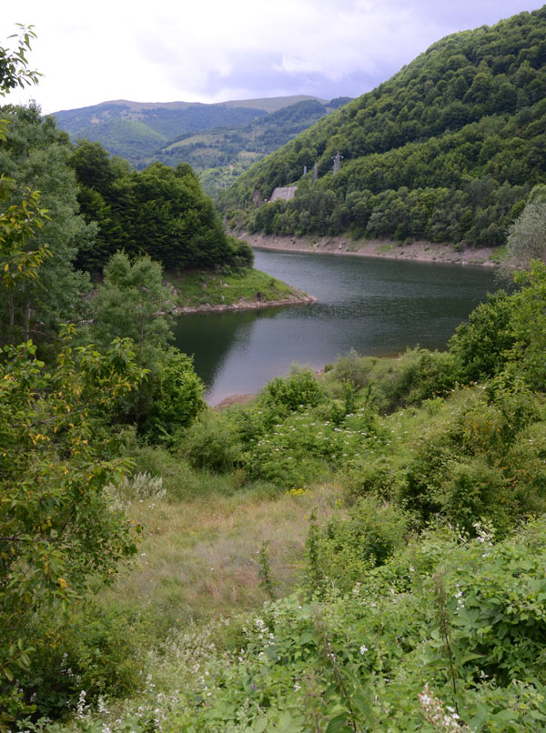 Lisinsko jezero