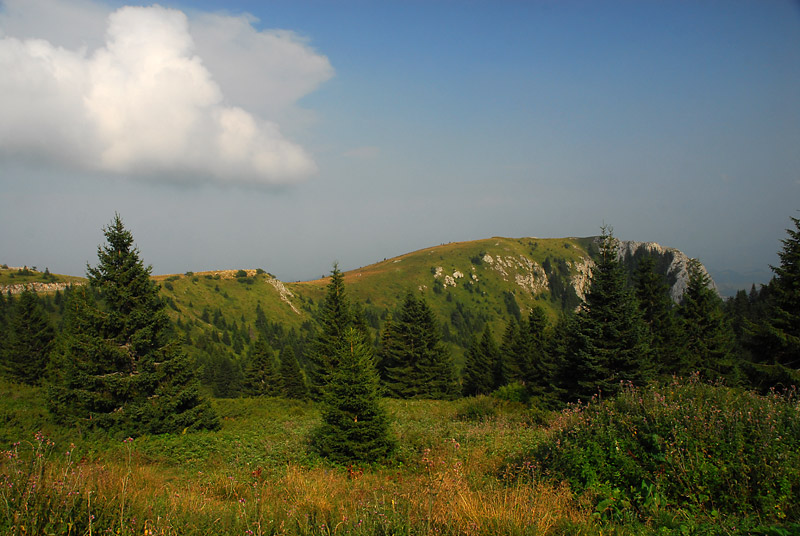 Kopaonik - prelepa planina Srbije