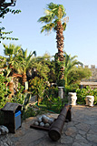 Bar Street in Bodrum