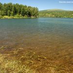 Vlasinsko lake