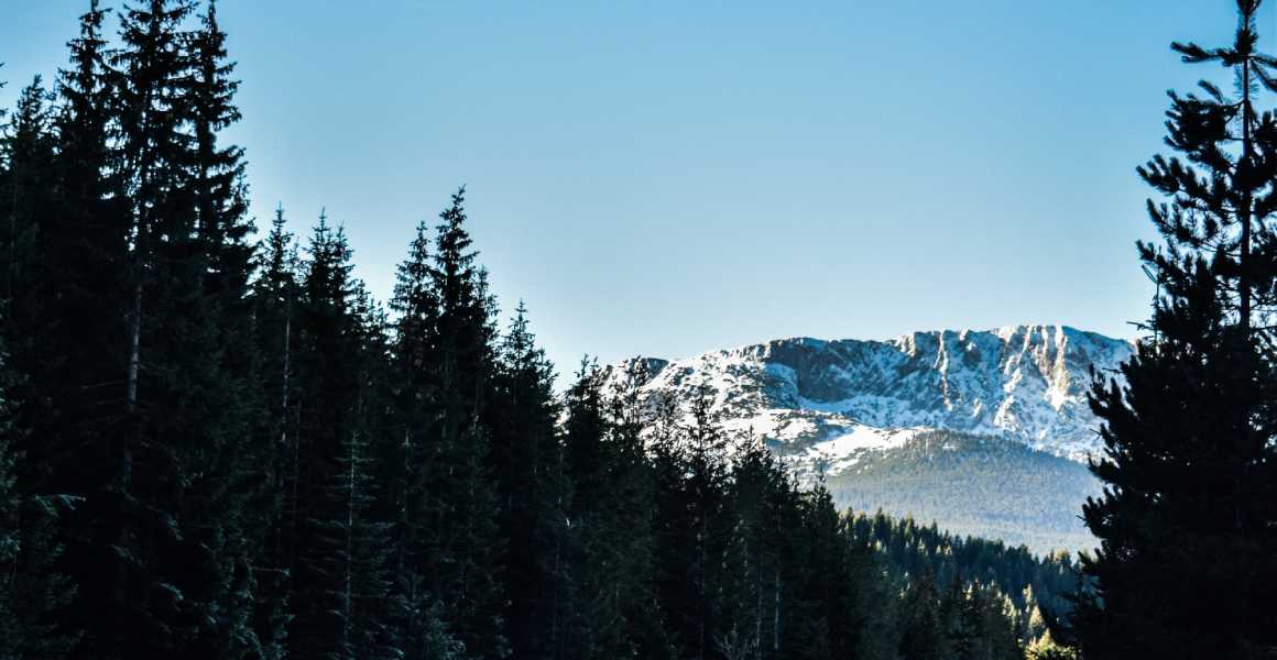 Prokletije