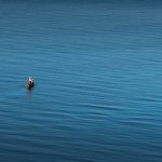 Jezero