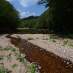 Vetreno jezero, na ušću