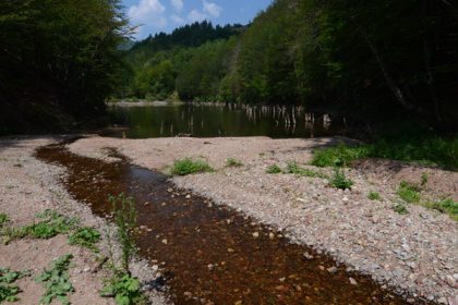 Vetreno jezero, na ušću