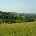 Fruška gora