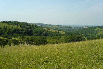 Fruška gora