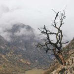 Kavkaz