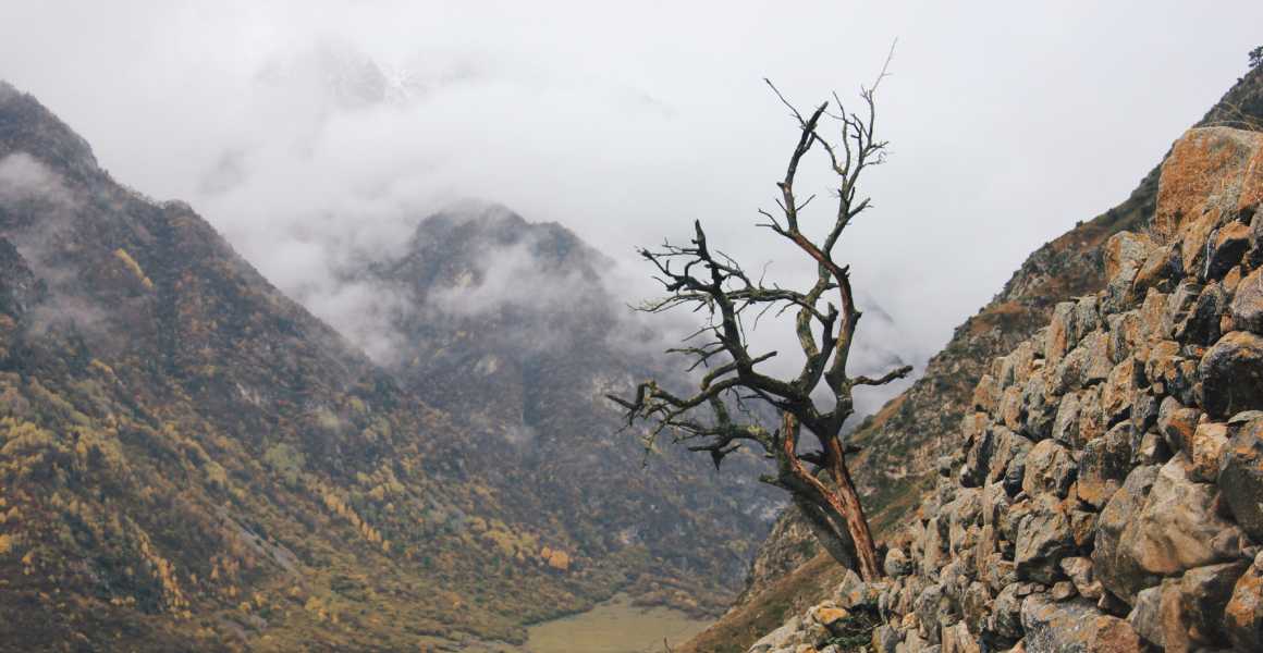 Kavkaz