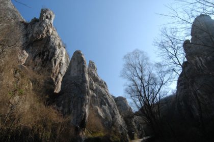 Jelašnička klisura
