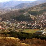 Caribrod