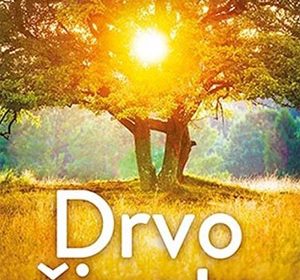 Drvo života, Kristina Kovač