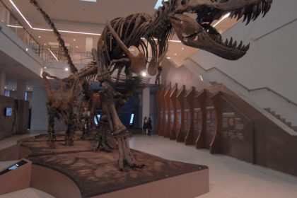 Tironosaurus
